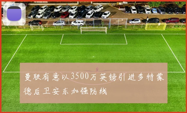 曼联有意以3500万英镑引进多特蒙德后卫安东加强防线