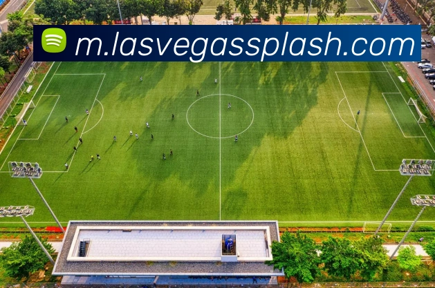 奇异果体育官方发展历程